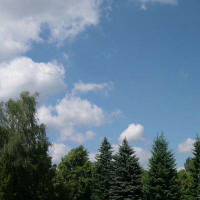 DSCN3573.jpg