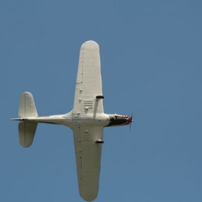 IMG_5964.jpg