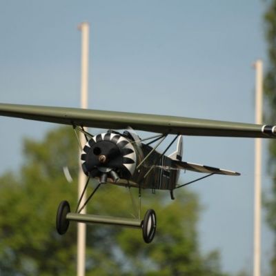IMG_6050.jpg