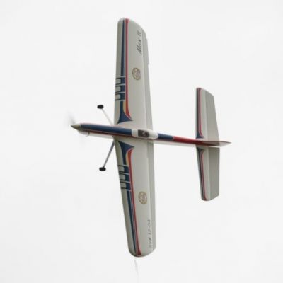 IMG_5184.jpg