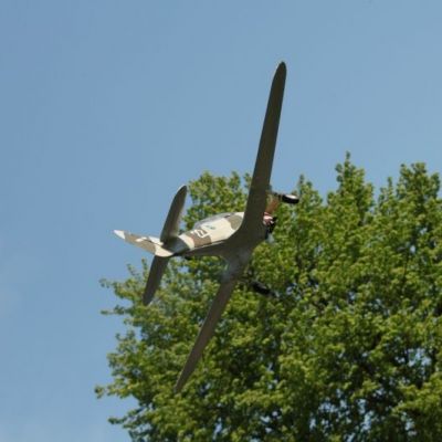 IMG_5957.jpg