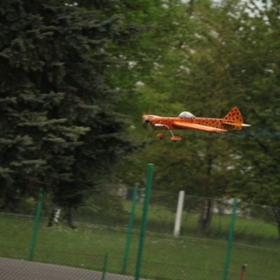 IMG_4615.jpg